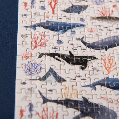 Underwater micropuzzle