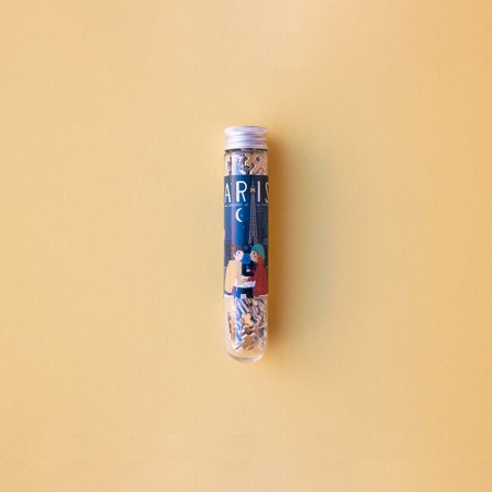 Skyline Paris Nuit micropuzzle