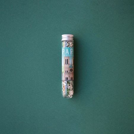 Notre Dame Paris micropuzzle