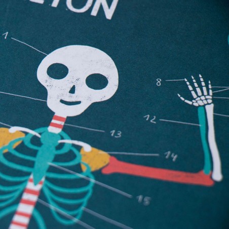 Learn&Fun - INSIDE ME