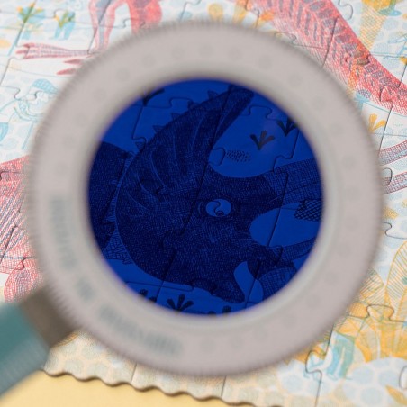 Puzzle - DISCOVER THE DINOSAURS