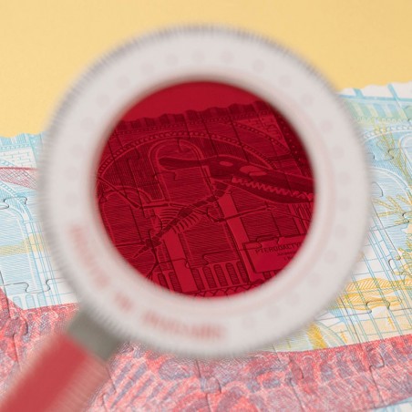 Puzzle - DISCOVER THE DINOSAURS