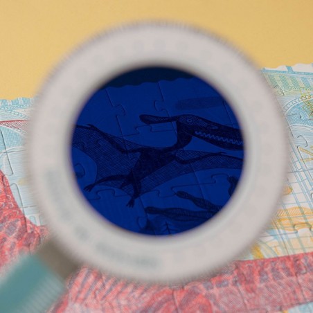 Puzzle - DISCOVER THE DINOSAURS